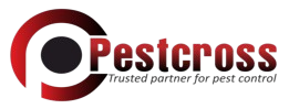pestcross removebg preview