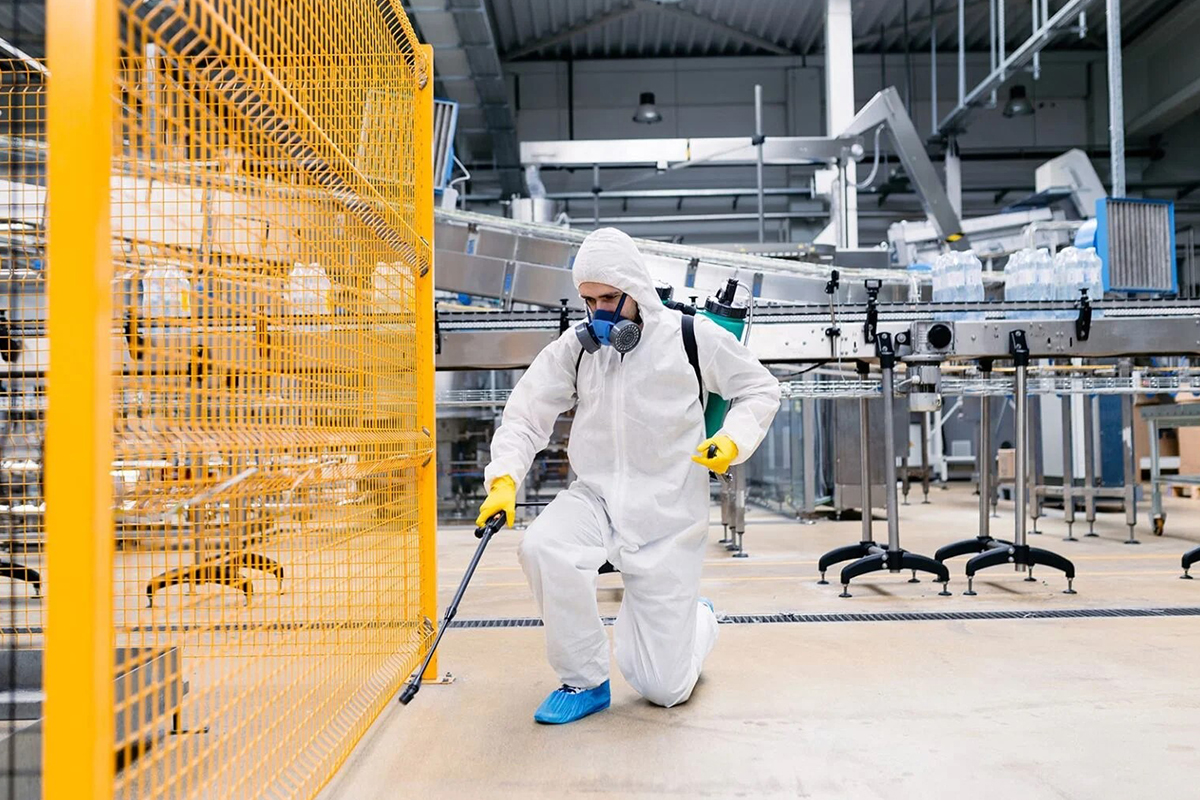 Professional Pest Control Work in Lucknow