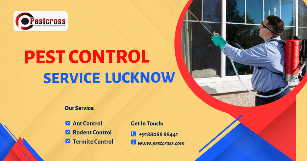 Pest Control Service in Lucknow