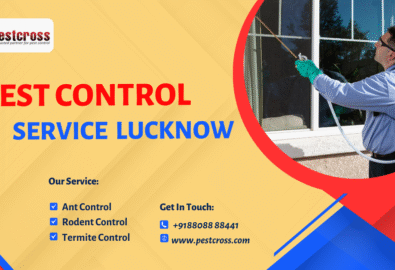 Pest Control Service in Lucknow