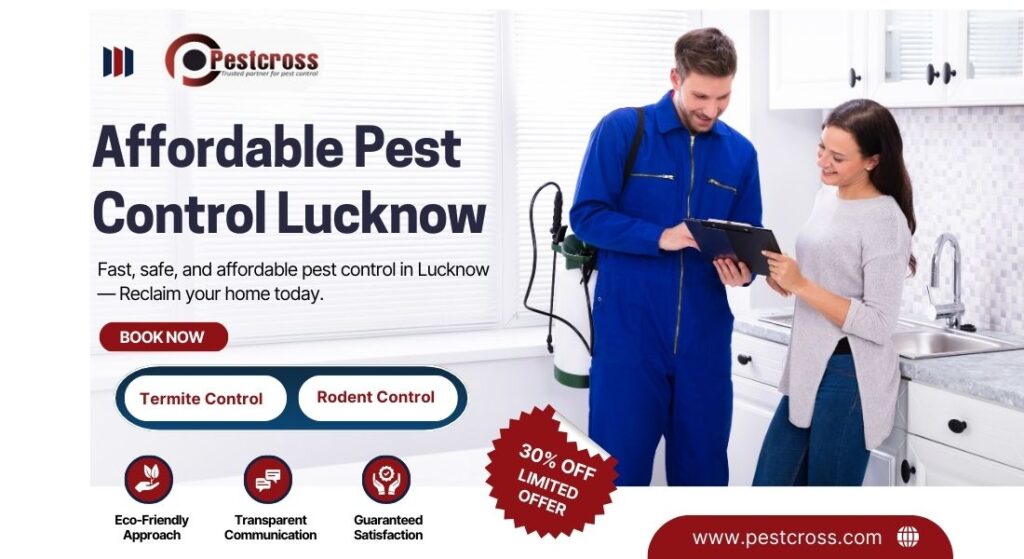 Affordable Pest Control in Lucknow