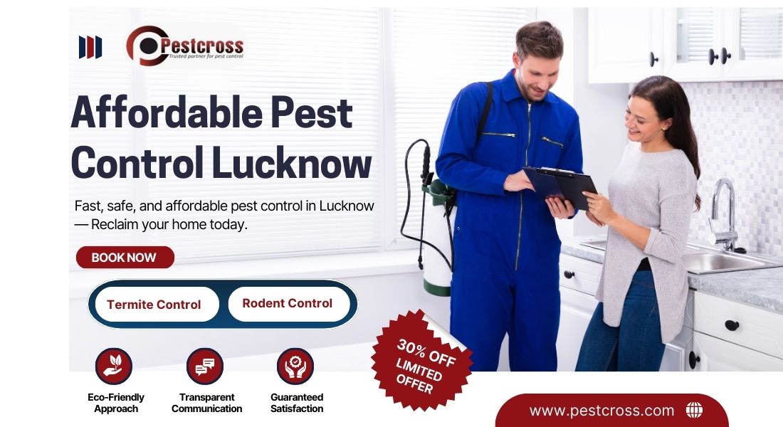 Affordable Pest Control in Lucknow