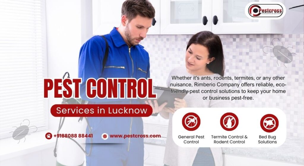 Pest Control Services in Lucknow