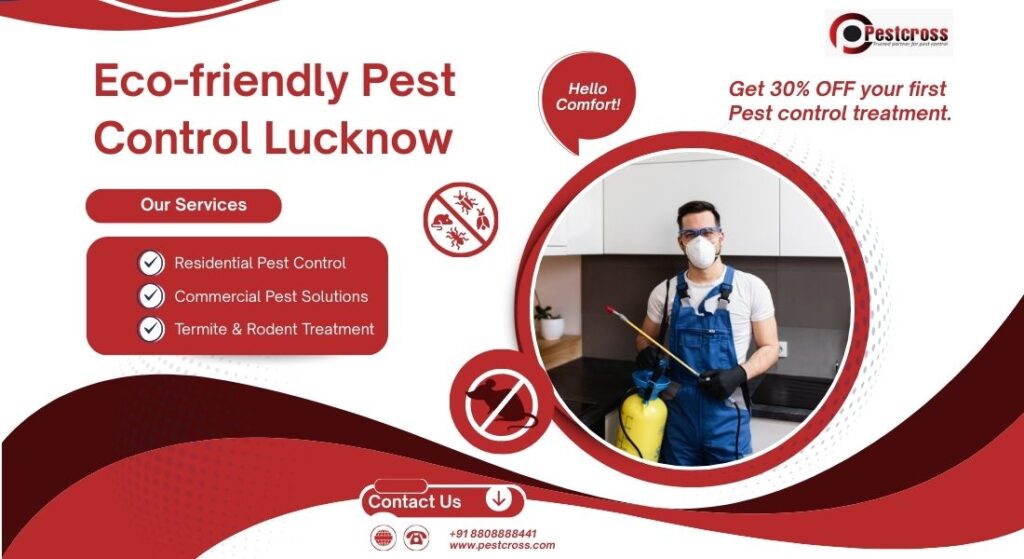Pest Control Services in Lucknow