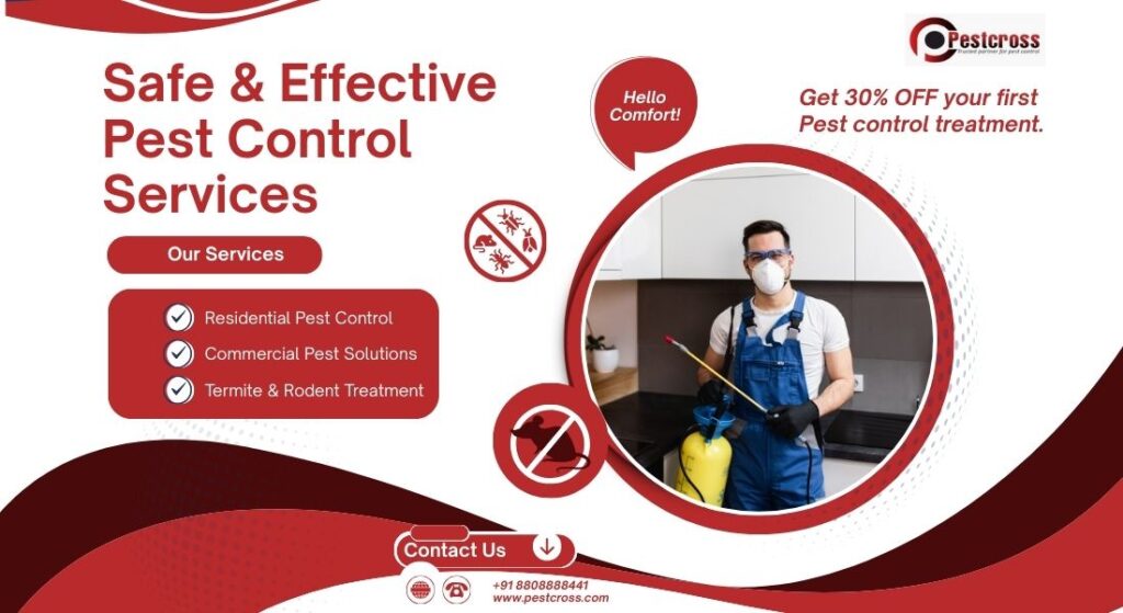 Safe & Effective Pest Control Services in Lucknow