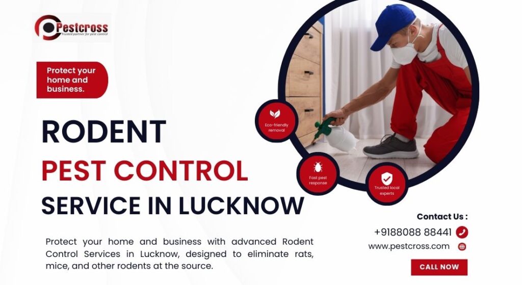 Rodent Pest Control Service in Lucknow