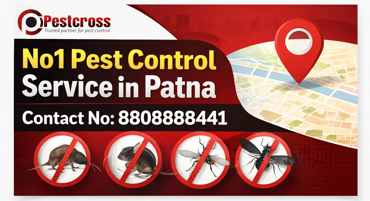 No1 Pest Control Service in Patna