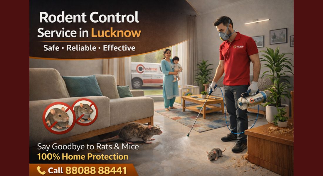 Rodent Control Services in Lucknow - Pest Cross Solution