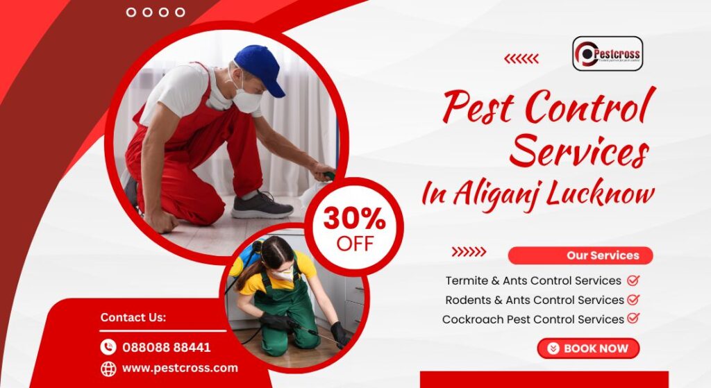 Pest Control Services in Alinganj Lucknow | Pest Cross Solution