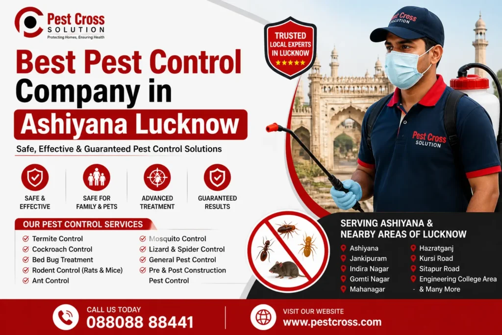 Best Pest Control Company in Ashiyana Lucknow