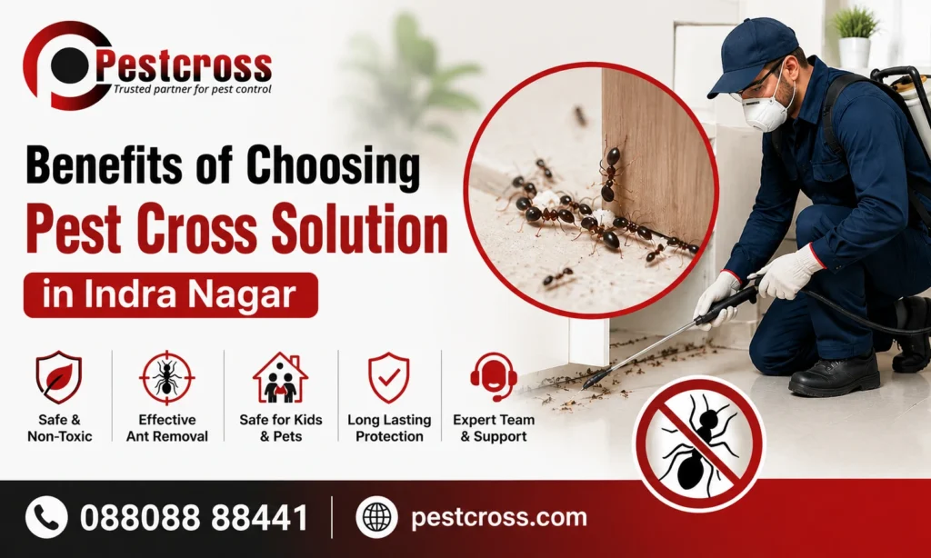 Ant Control Services in Indra Nagar