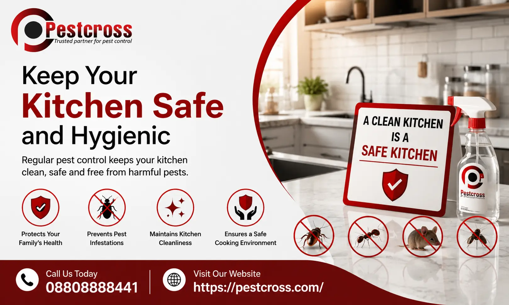 keep your kitchen safe by pest cross service