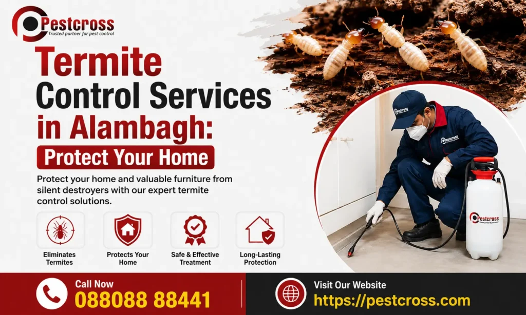 Termite Control Service In Alambagh