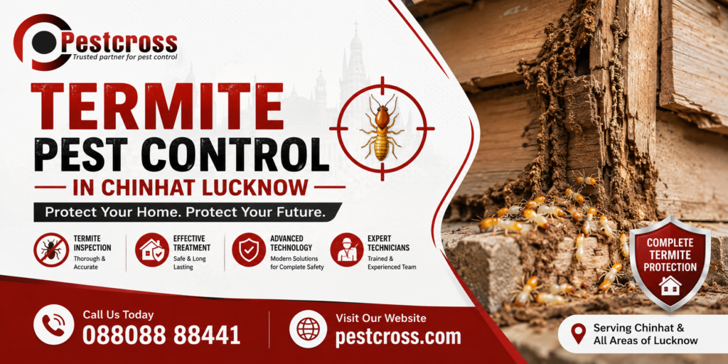 Termite Pest Control in Chinhat Lucknow