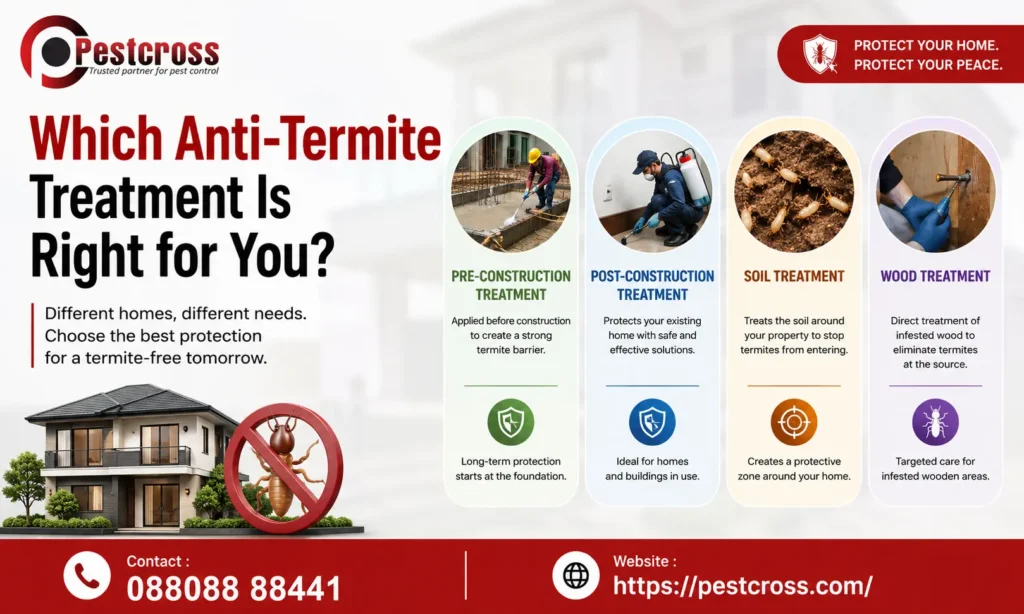 Which Anti-Termite is right for you?