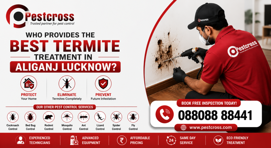 Who Provides the Best Termite Treatment in Aliganj, Lucknow?