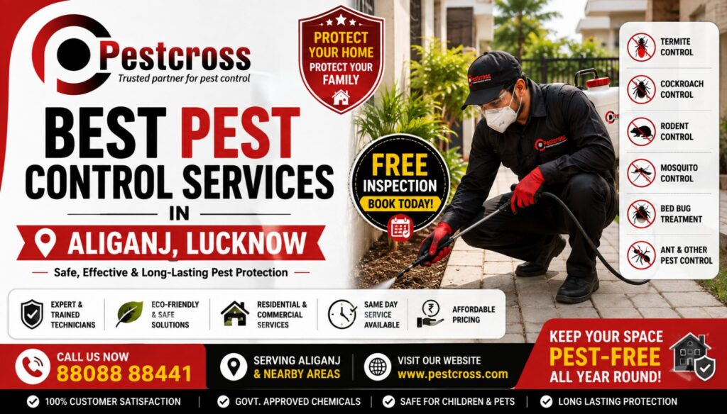 Termite Treatment in Aliganj Lucknow
