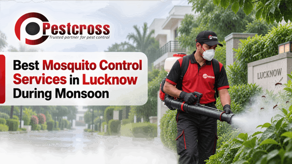Best Mosquito Control Services in Lucknow During Monsoon