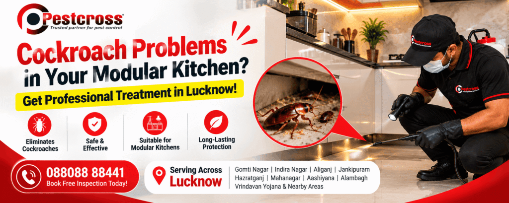 Cockroach Treatment in Lucknow for Modular Kitchens – Pestcross