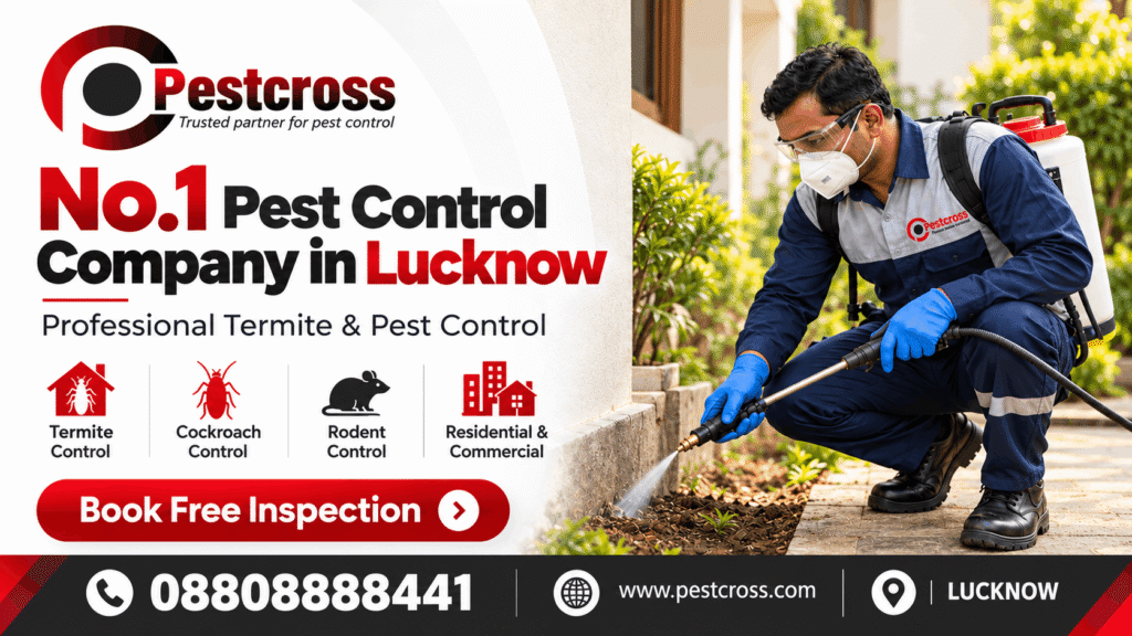 No.1 Pest Control Company in Lucknow | Free Inspection