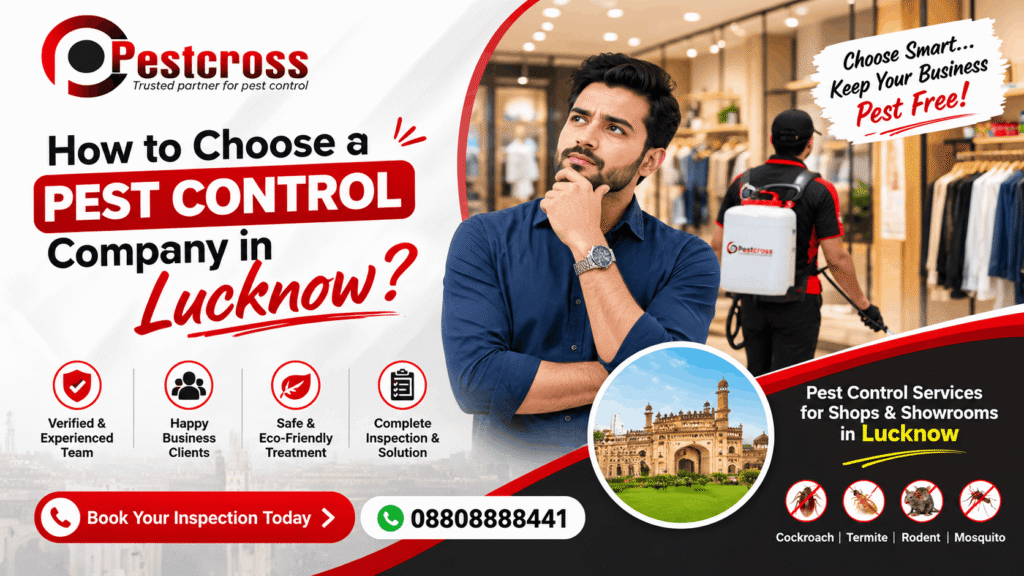 How to Choose a Pest Control Company in Lucknow?